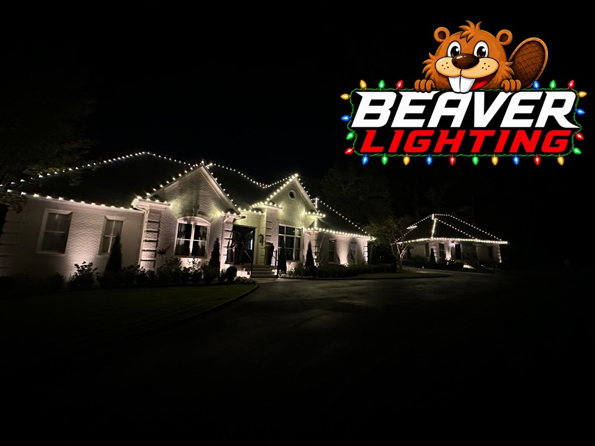Beaver Lighting project photo 003
