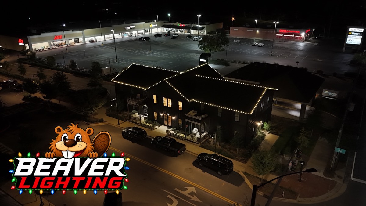 Beaver Lighting project photo 004