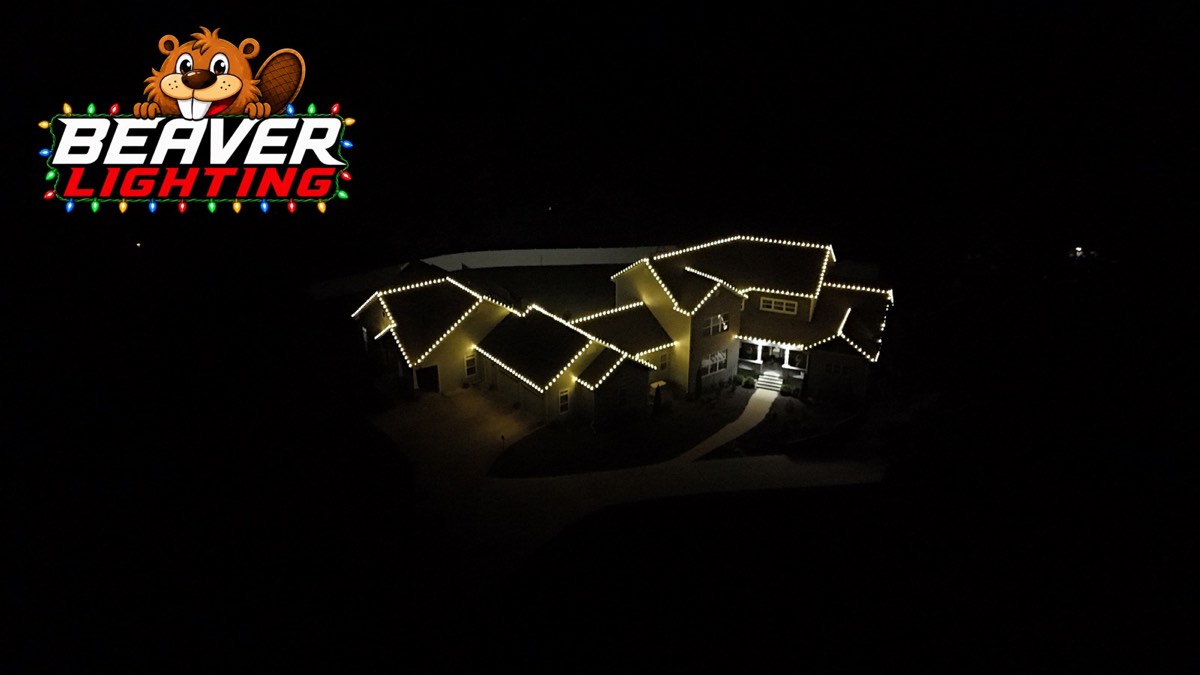 Beaver Lighting project photo 005
