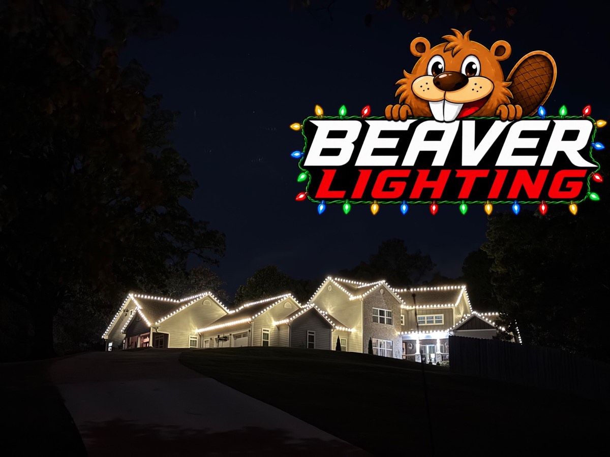Beaver Lighting project photo 006