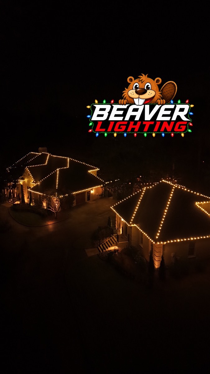 Beaver Lighting project photo 007