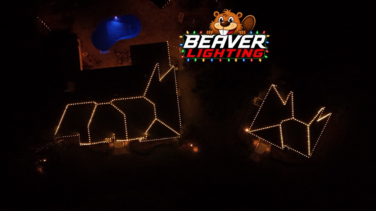 Beaver Lighting project photo 008