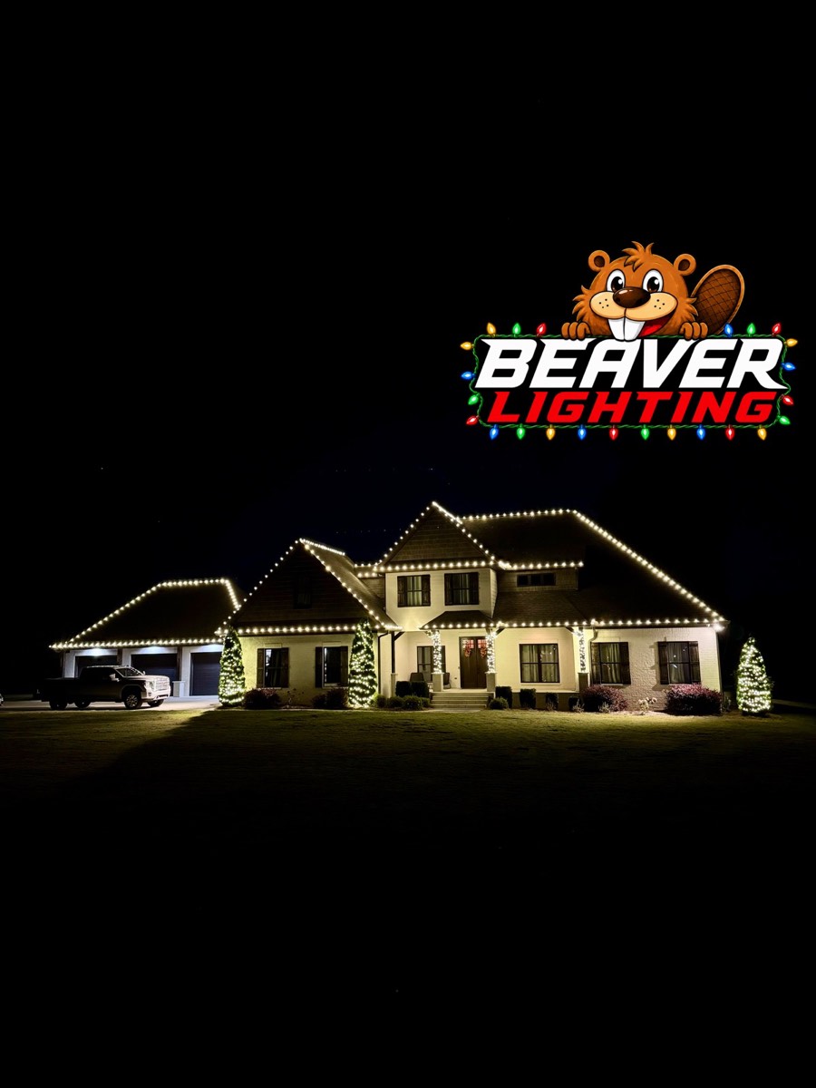 Beaver Lighting project photo 009