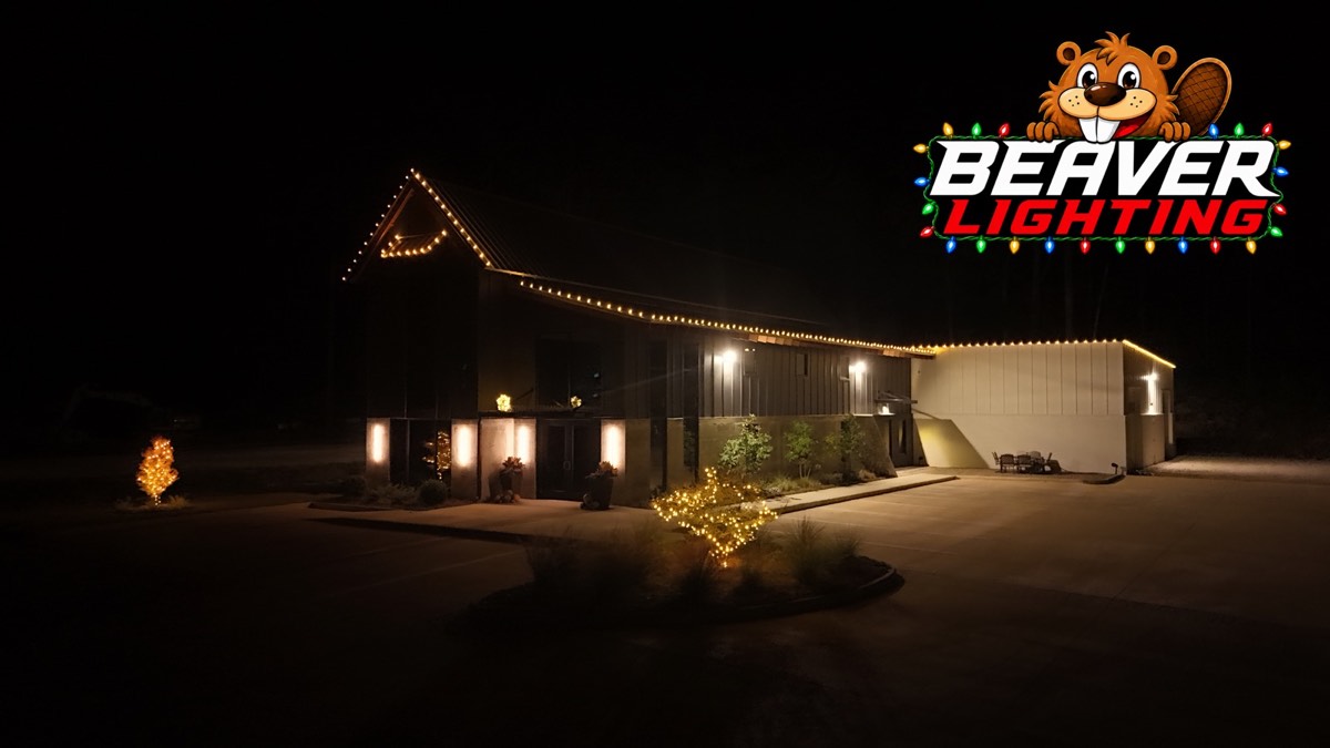 Beaver Lighting project photo 013
