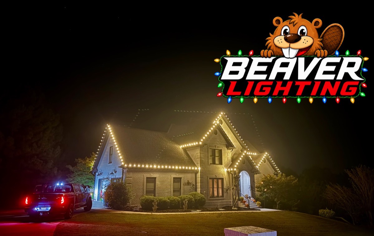 Beaver Lighting project photo 014
