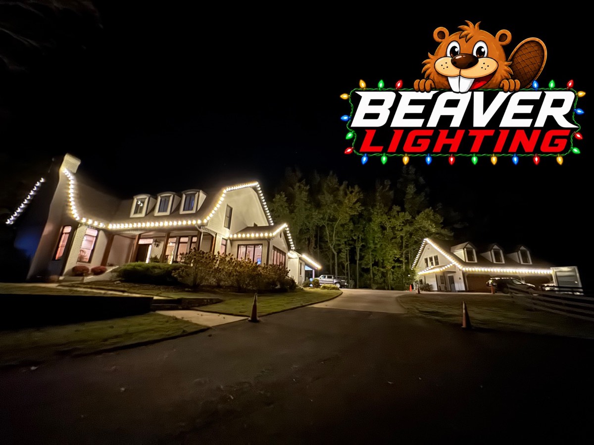 Beaver Lighting project photo 015