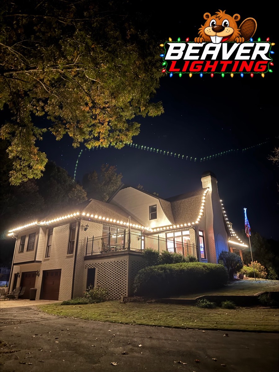 Beaver Lighting project photo 016