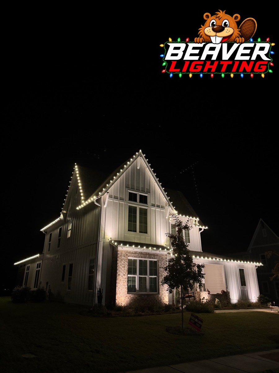 Beaver Lighting project photo 017