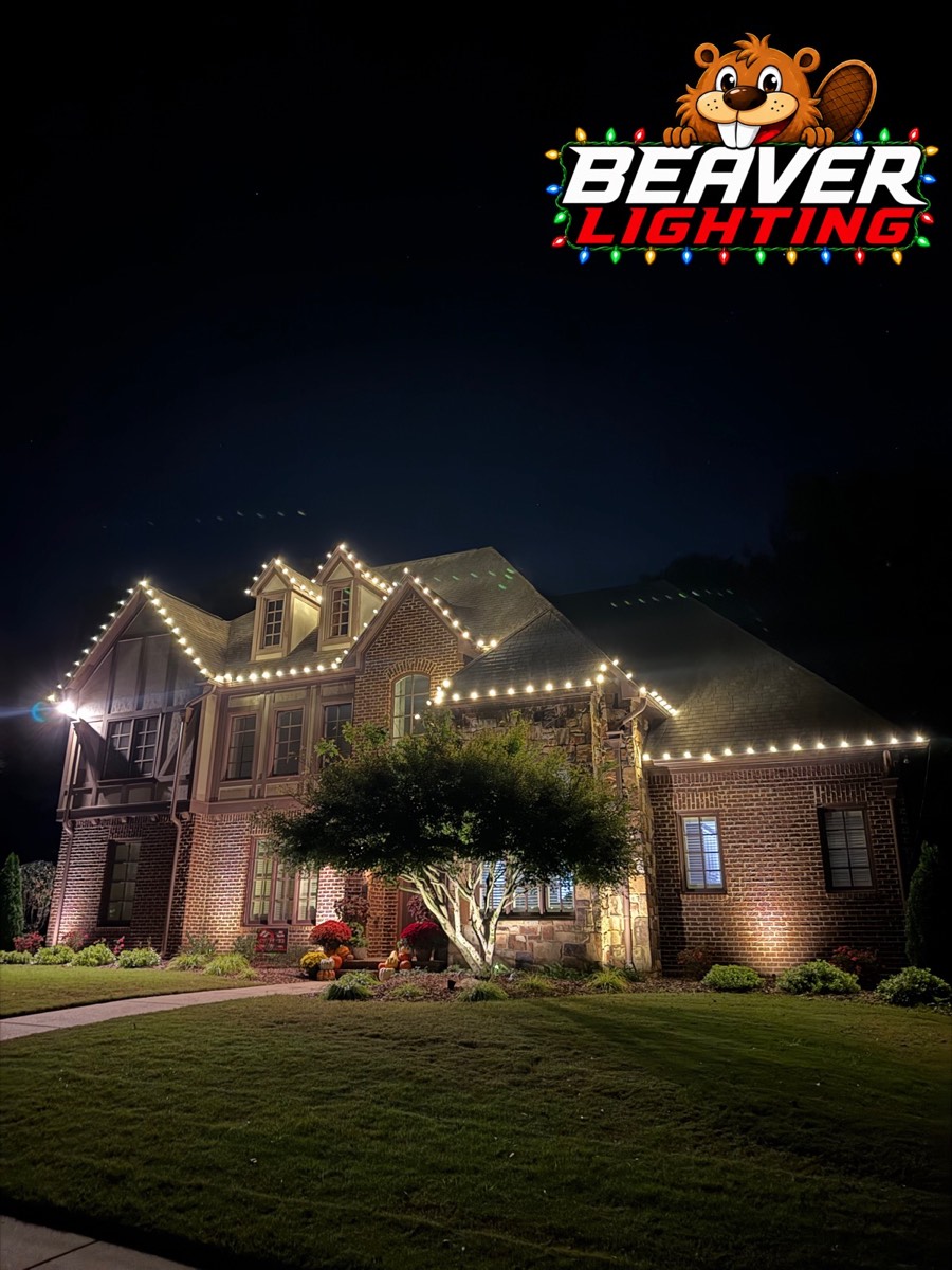 Beaver Lighting project photo 018