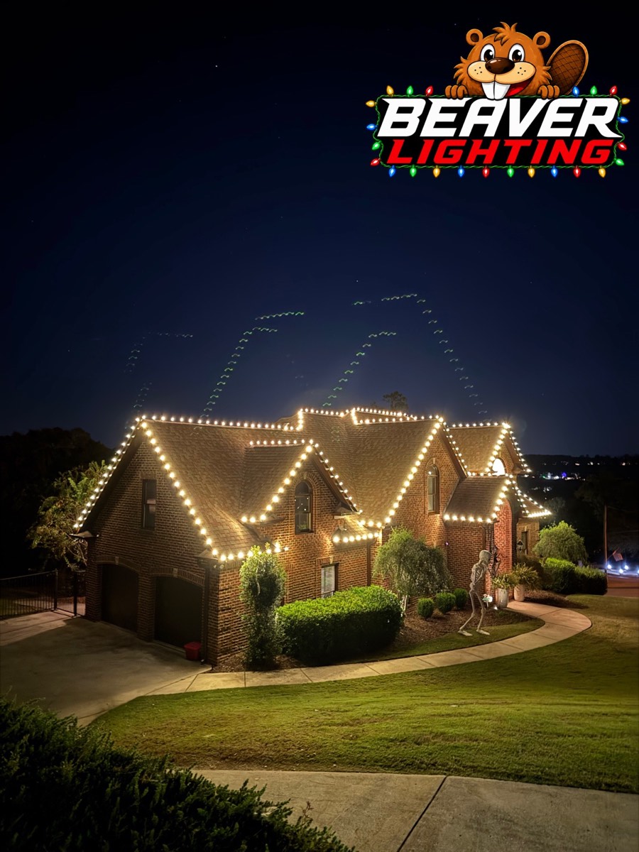 Beaver Lighting project photo 019