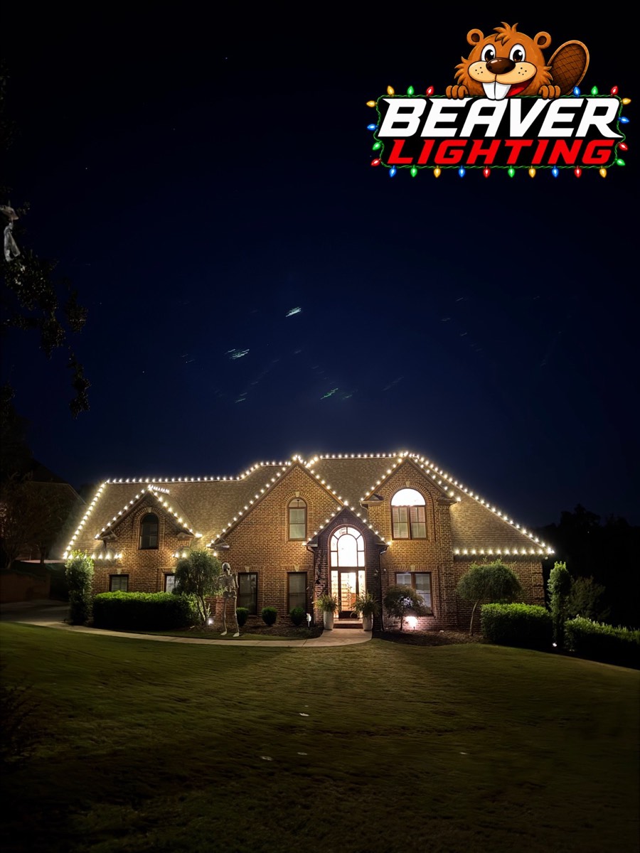 Beaver Lighting project photo 020