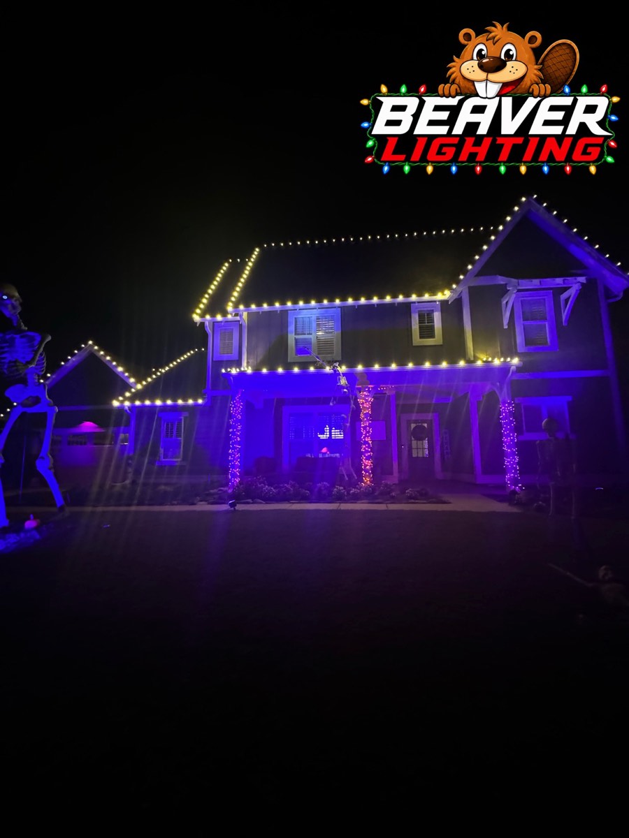 Beaver Lighting project photo 022