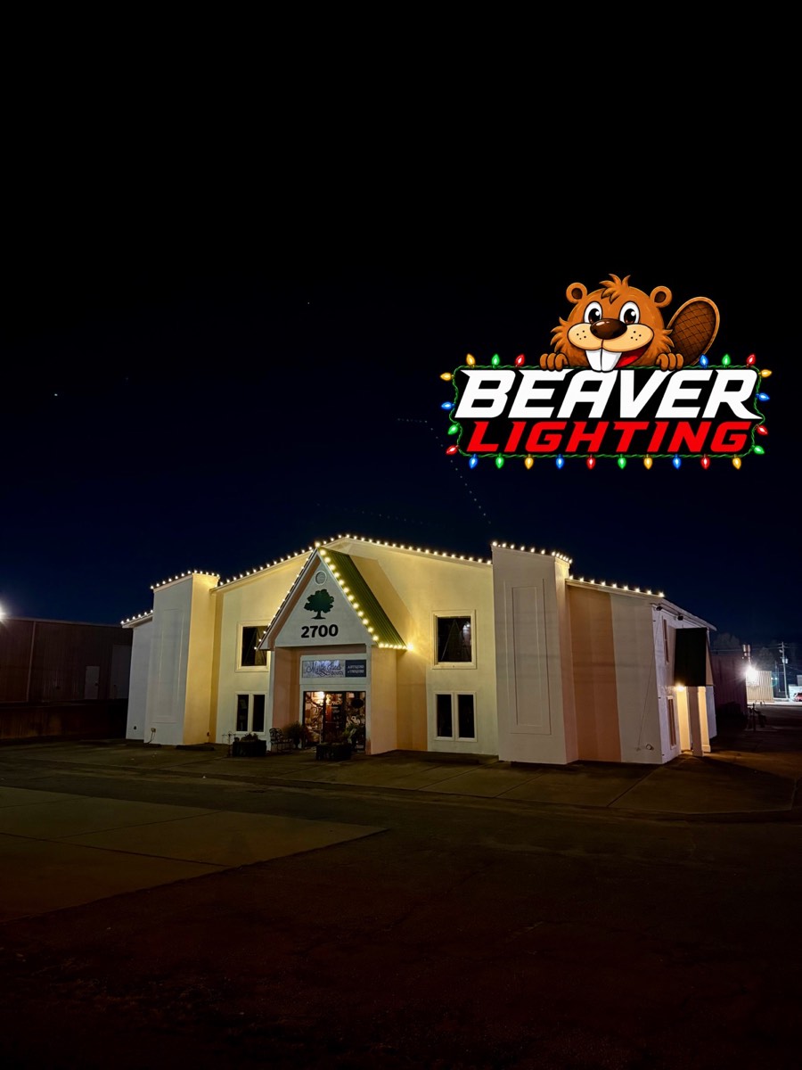 Beaver Lighting project photo 023