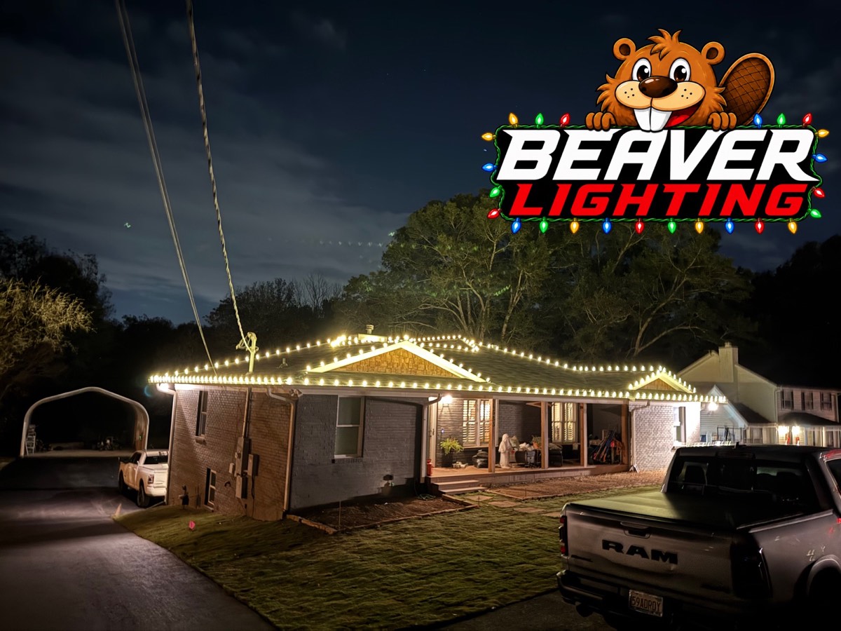 Beaver Lighting project photo 024
