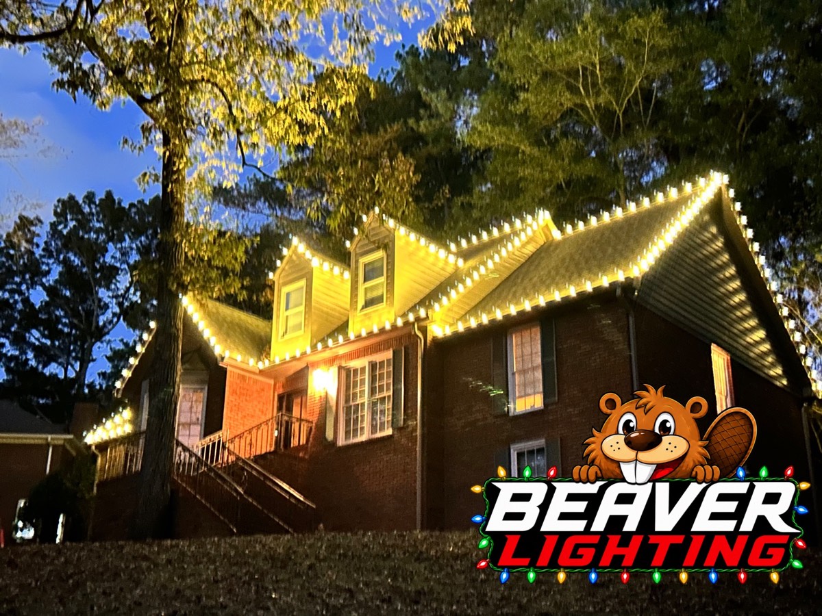 Beaver Lighting project photo 025