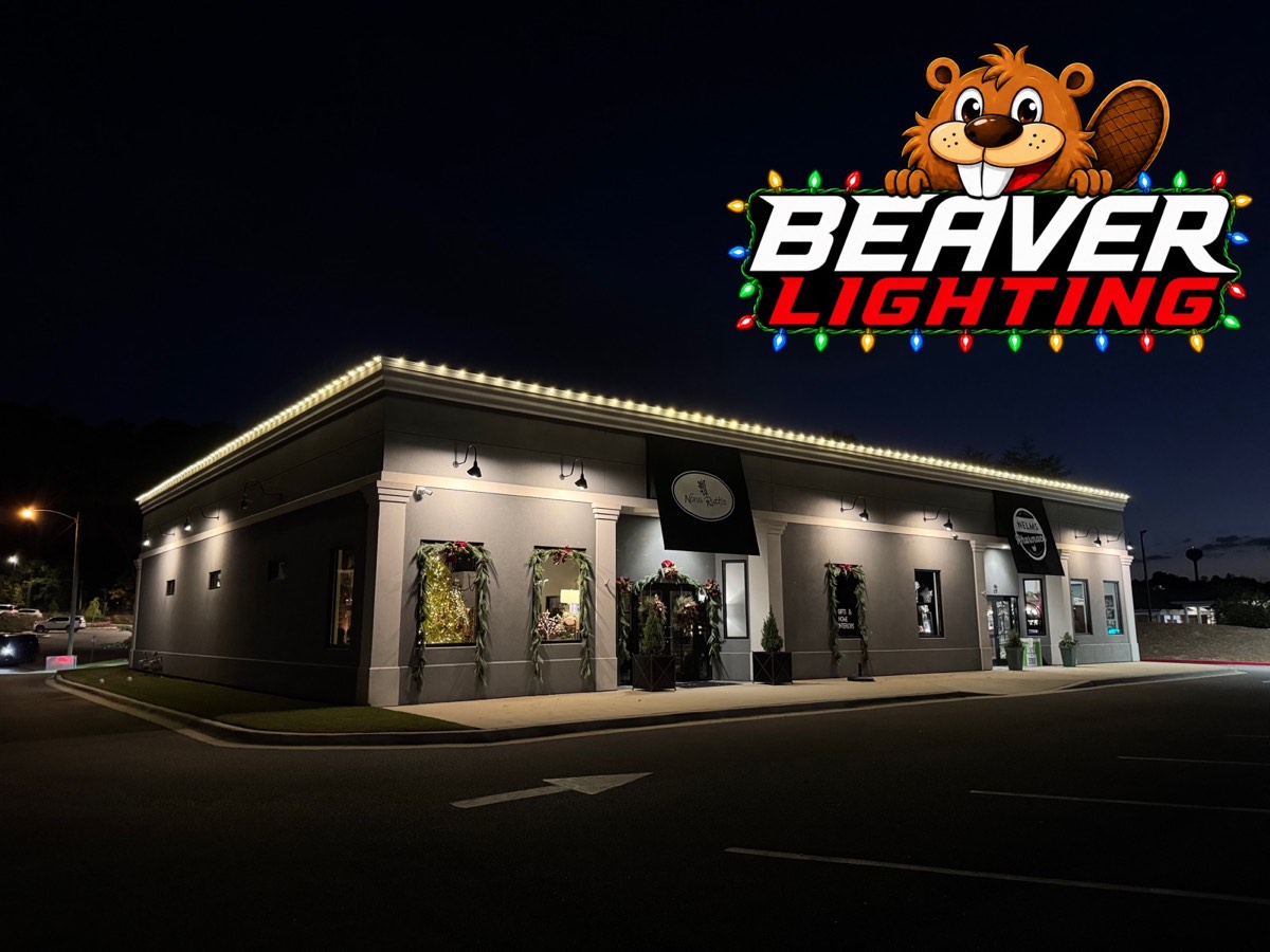 Beaver Lighting project photo 026