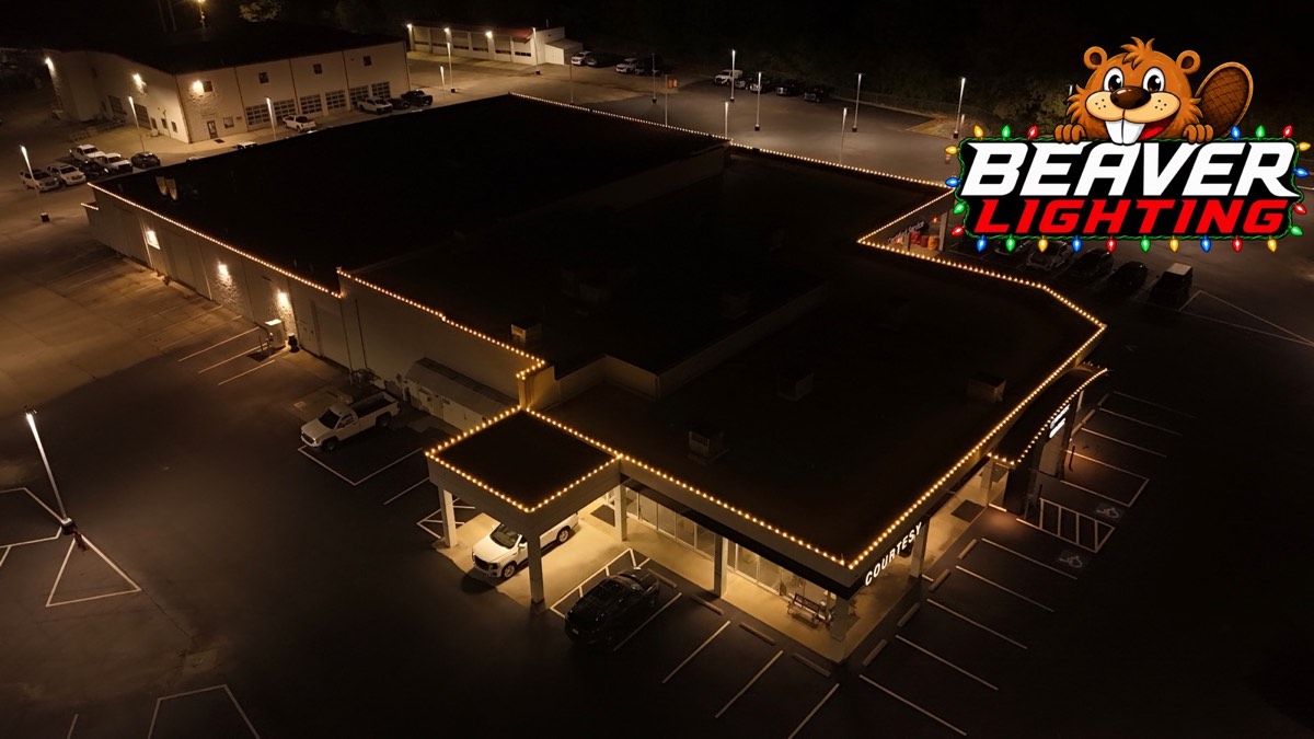 Beaver Lighting project photo 027