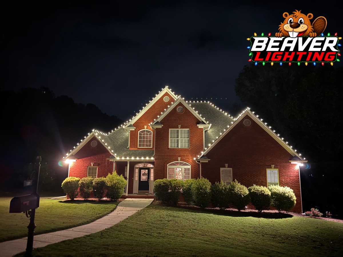 Beaver Lighting project photo 029