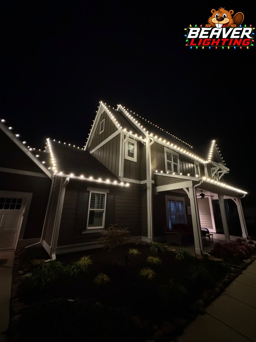 Beaver Lighting project photo 030