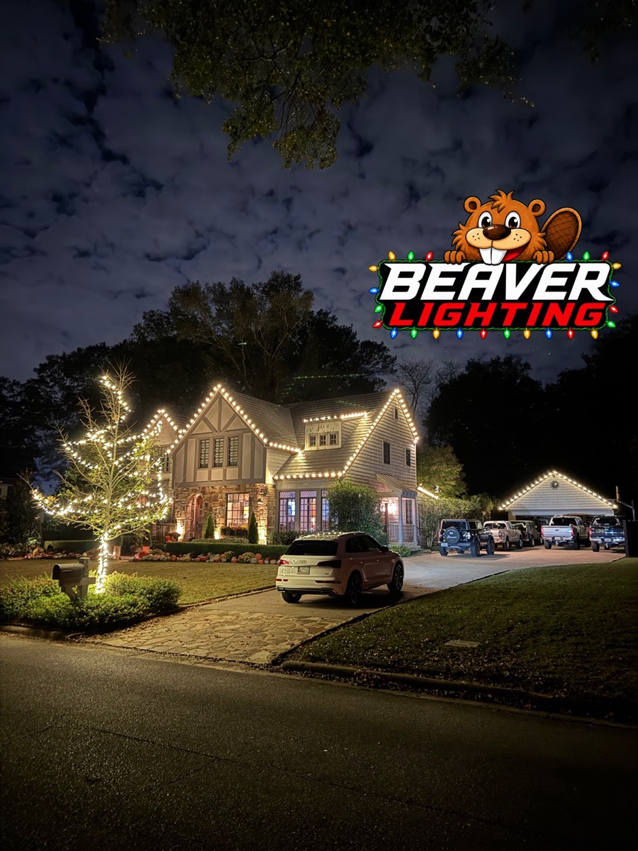 Beaver Lighting project photo 032