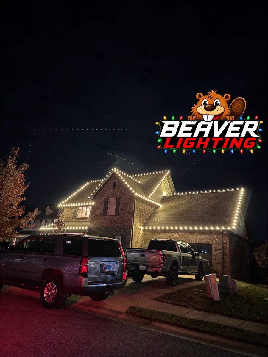 Beaver Lighting project photo 033