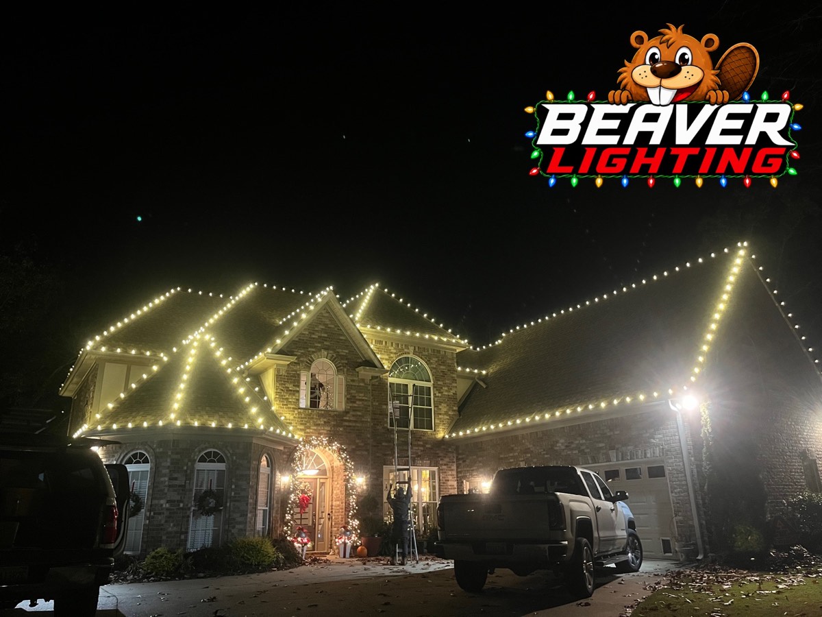 Beaver Lighting project photo 035