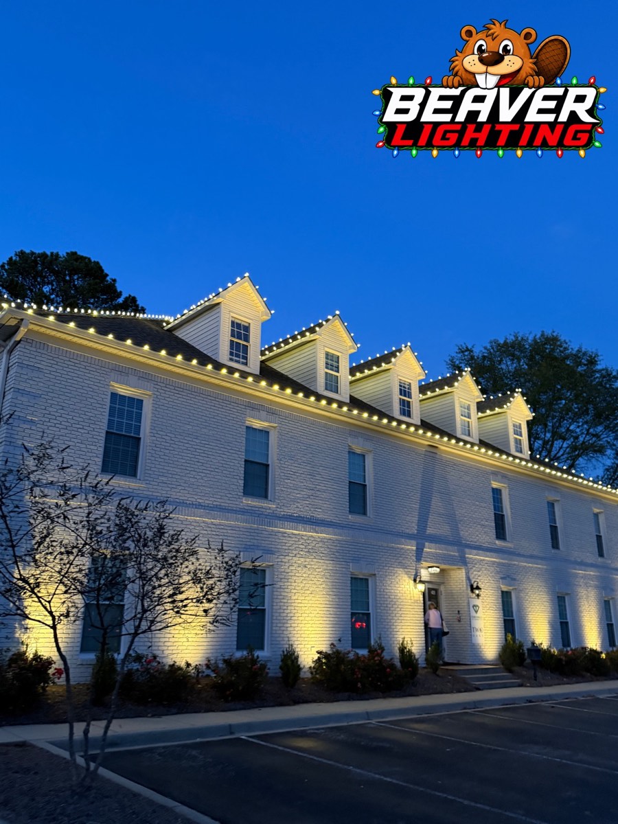 Beaver Lighting project photo 036