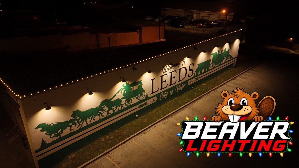 Beaver Lighting project photo 038