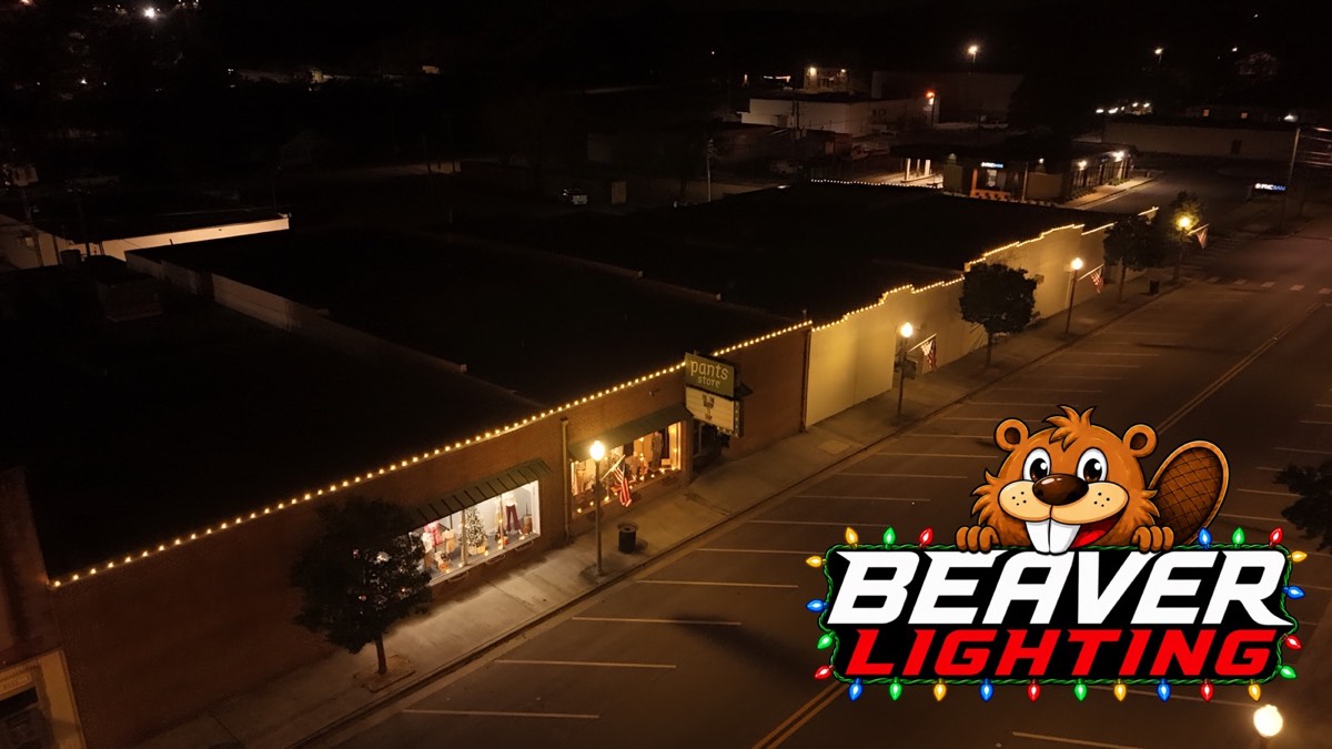 Beaver Lighting project photo 040