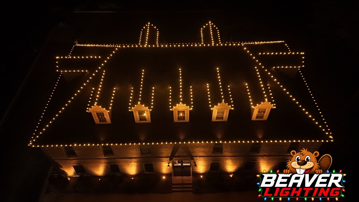 Beaver Lighting project photo 043