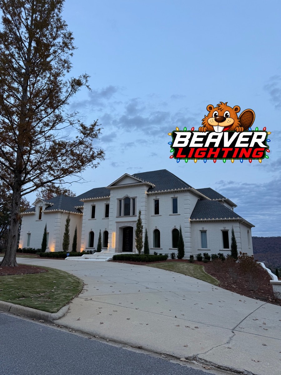 Beaver Lighting project photo 044