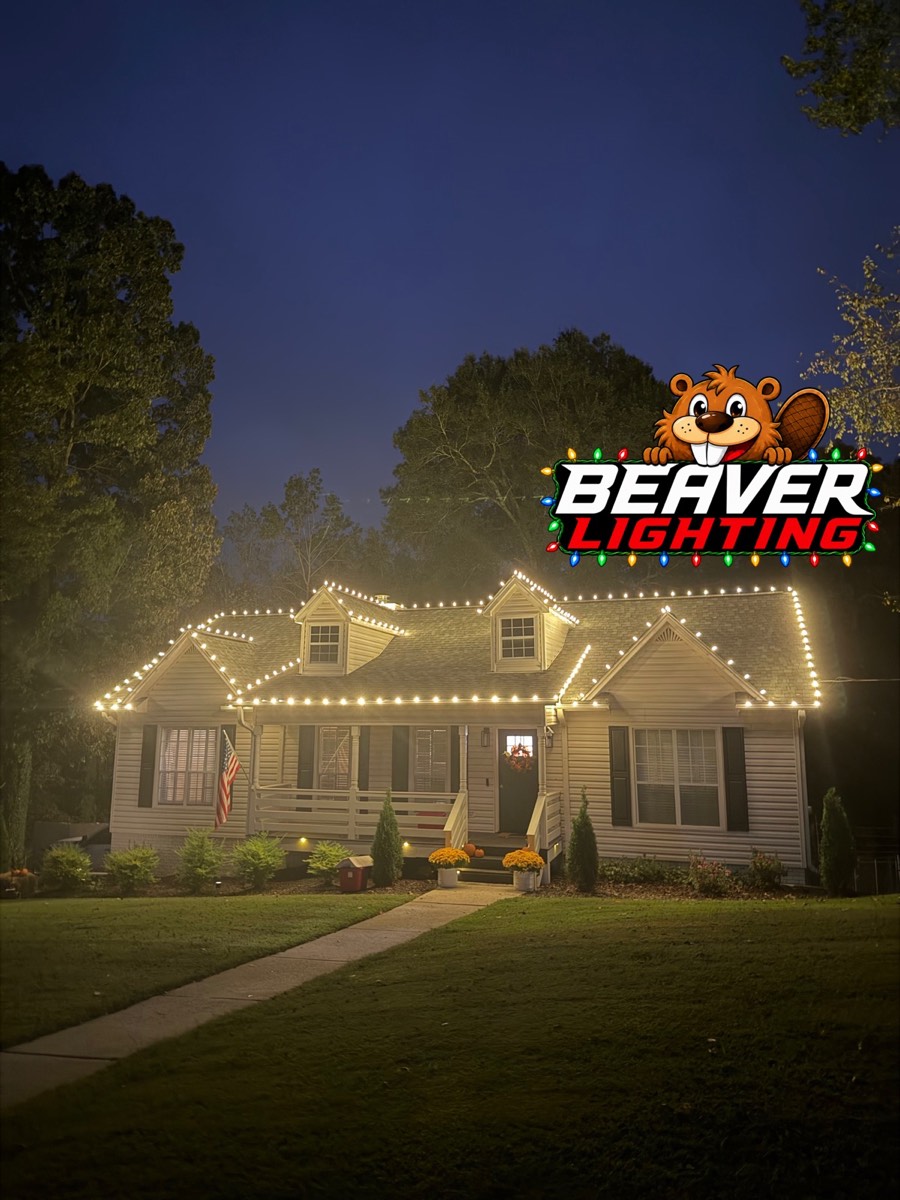 Beaver Lighting project photo 046