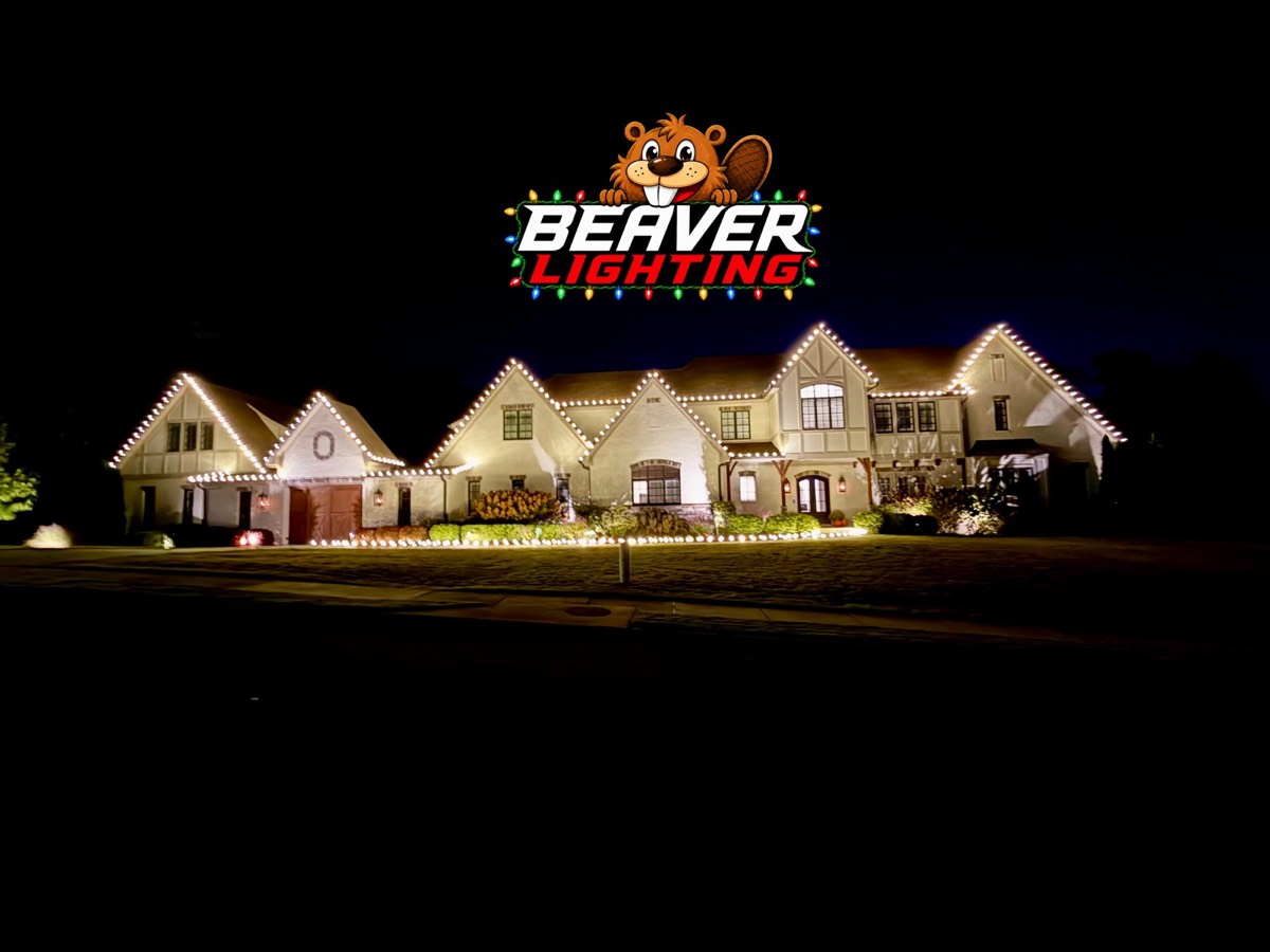 Beaver Lighting project photo 047