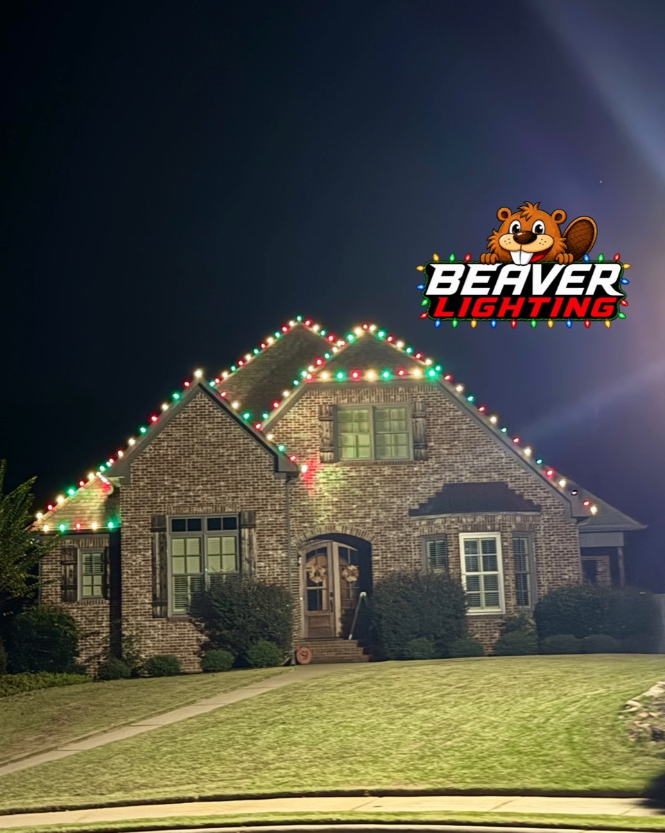 Beaver Lighting project photo 049