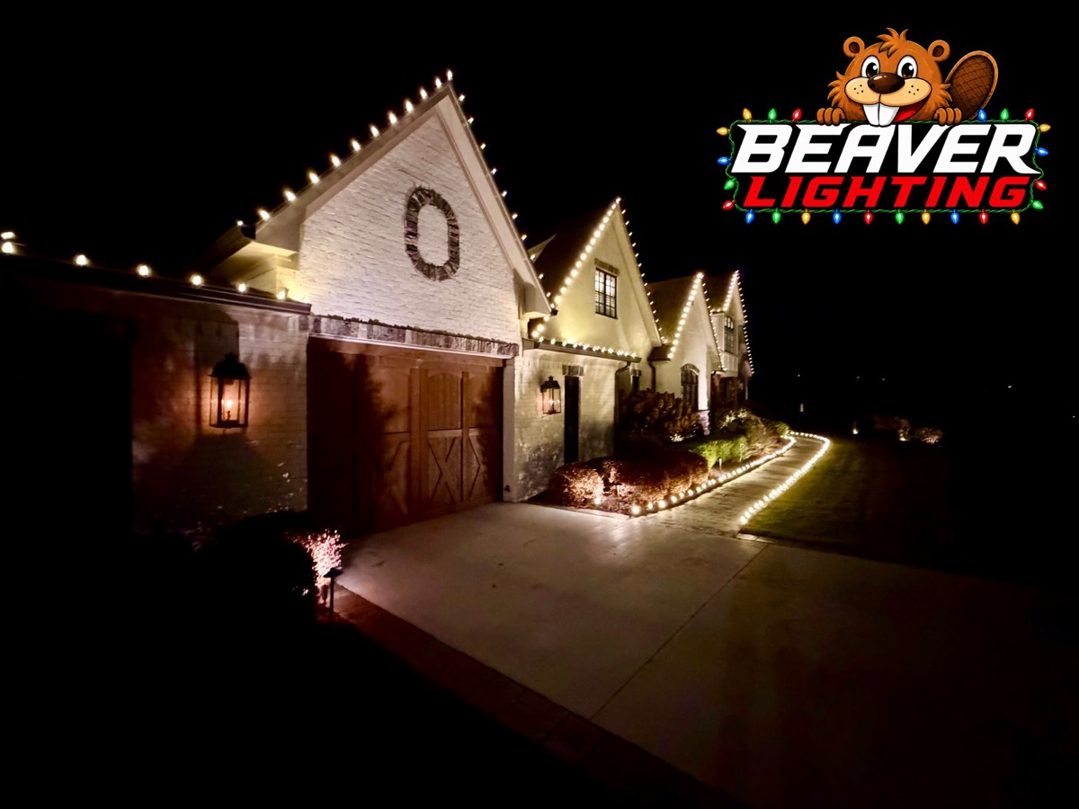 Beaver Lighting project photo 050