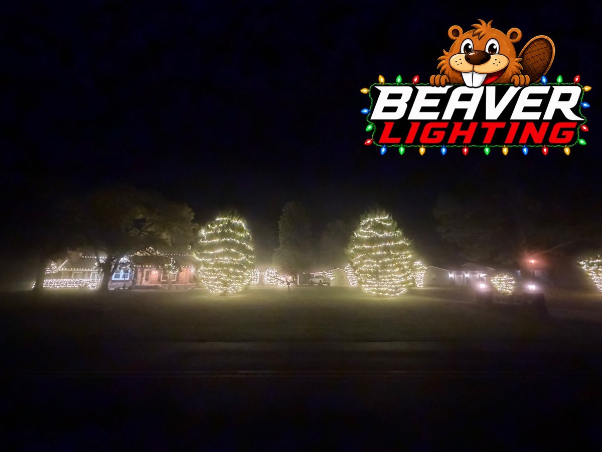 Beaver Lighting project photo 051