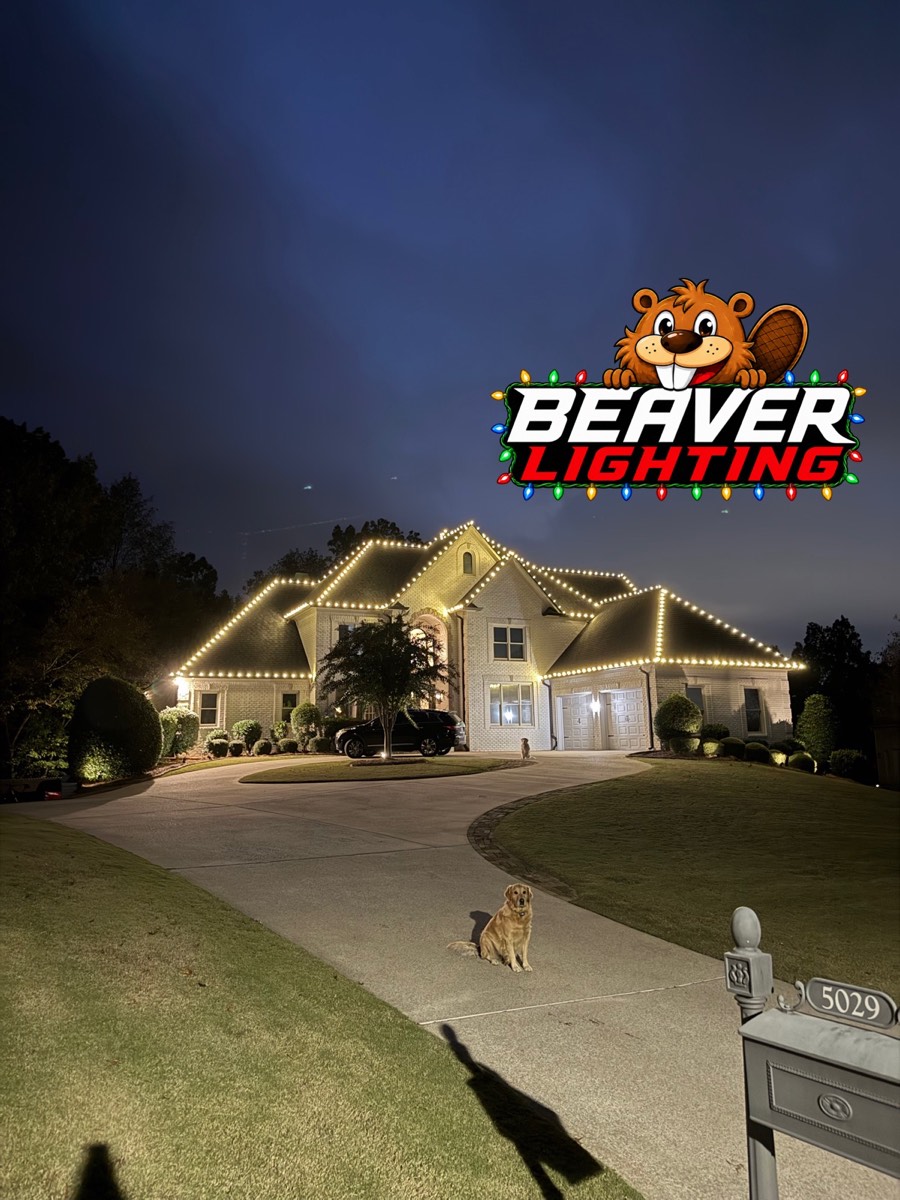 Beaver Lighting project photo 052