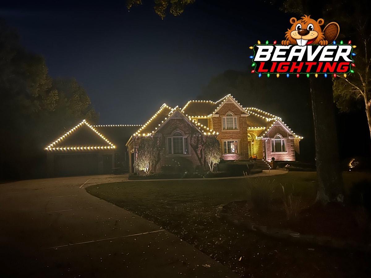 Beaver Lighting project photo 056