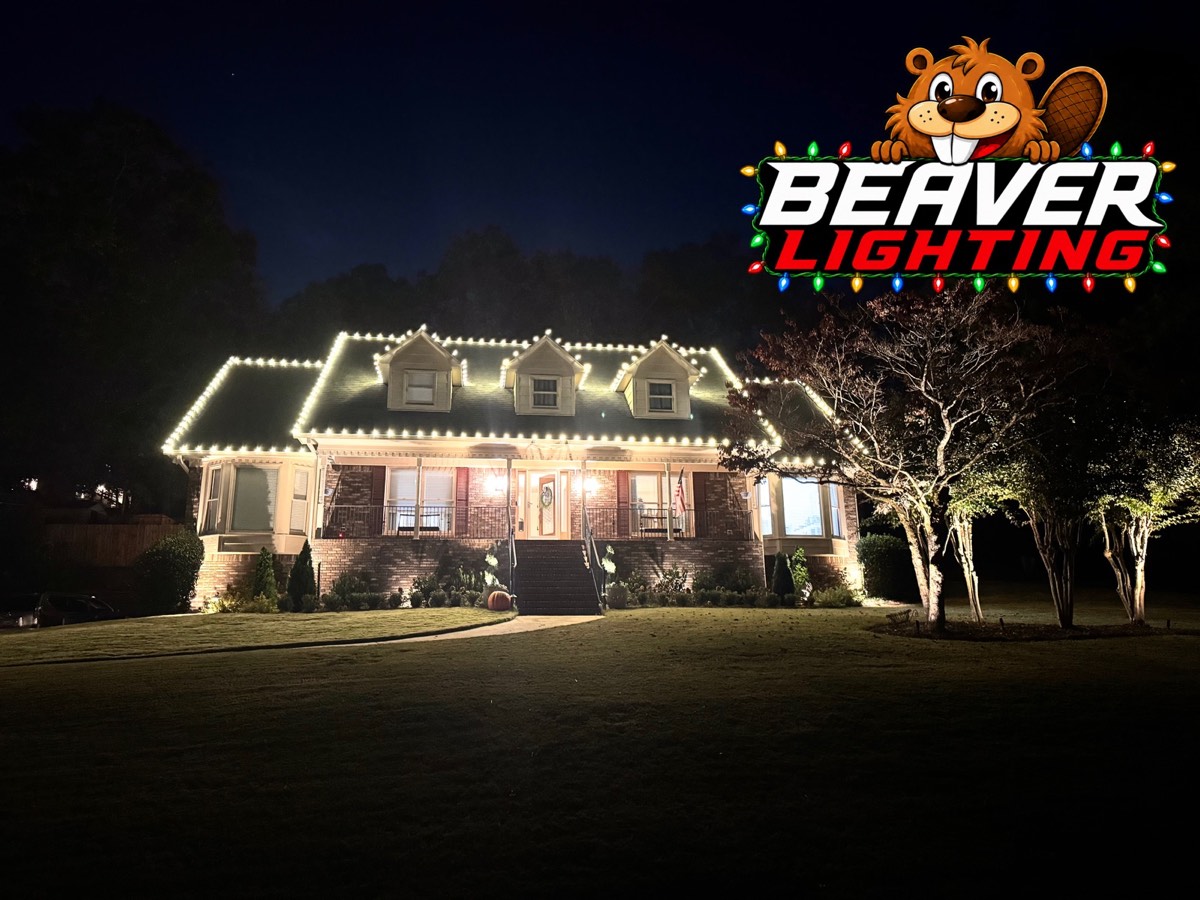 Beaver Lighting project photo 057