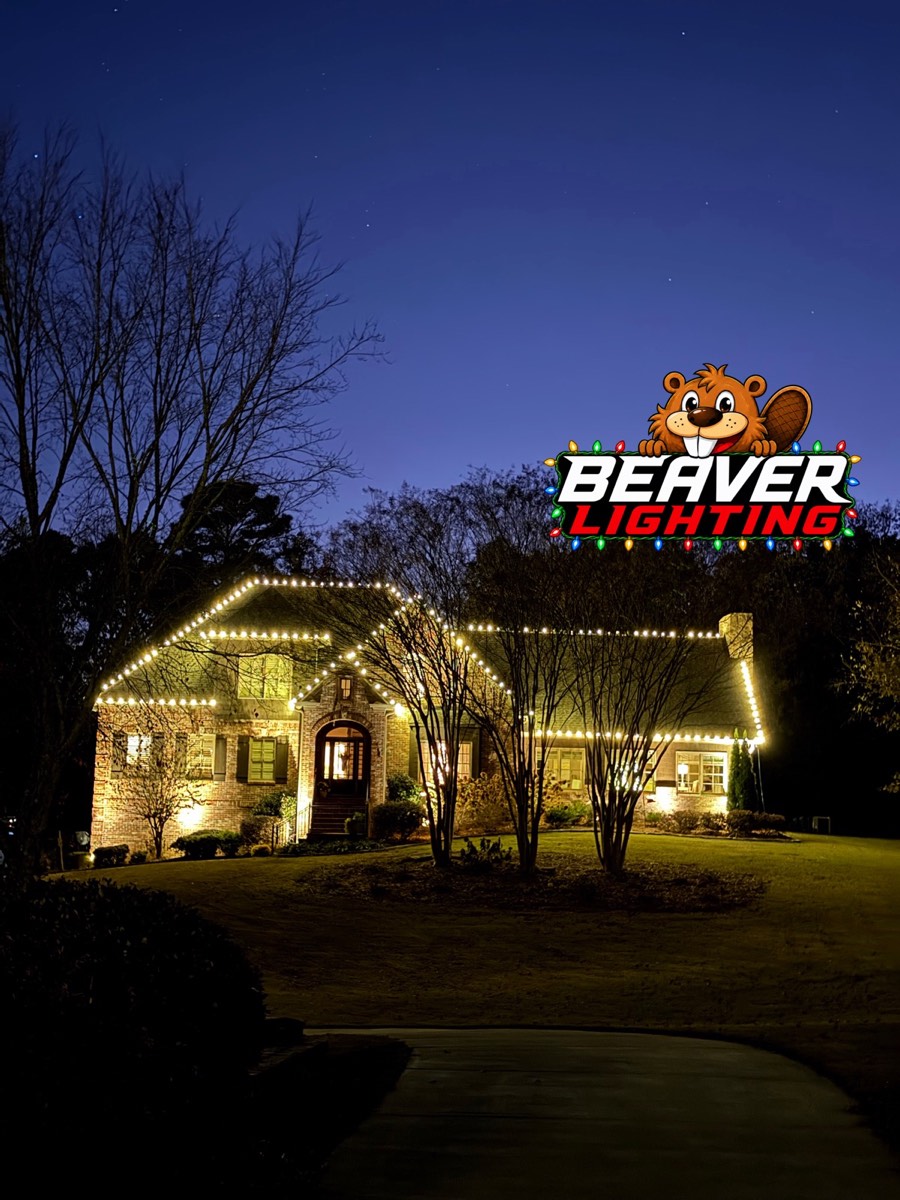 Beaver Lighting project photo 058