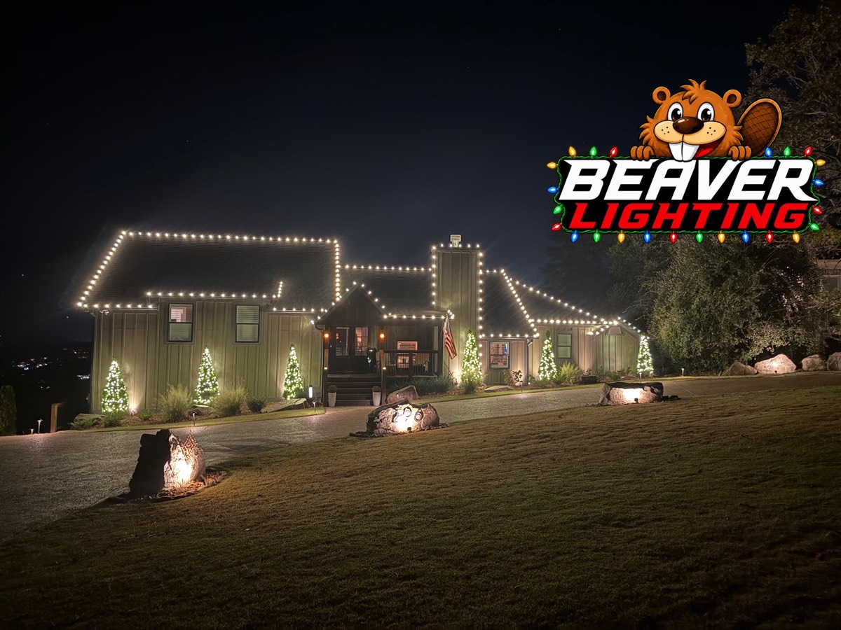 Beaver Lighting project photo 060