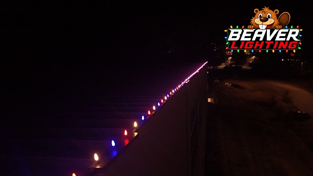Beaver Lighting project photo 062