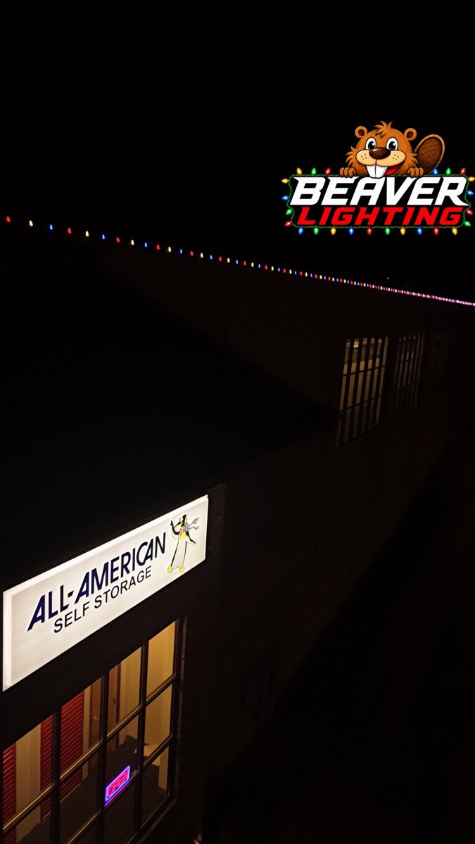 Beaver Lighting project photo 063