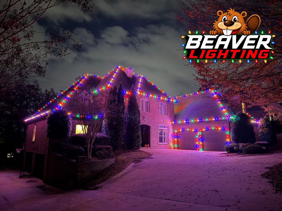 Beaver Lighting project photo 064