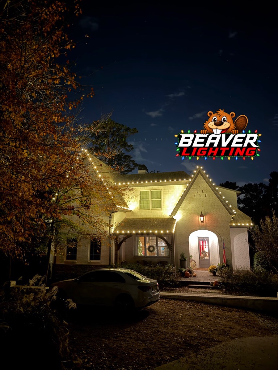 Beaver Lighting project photo 065
