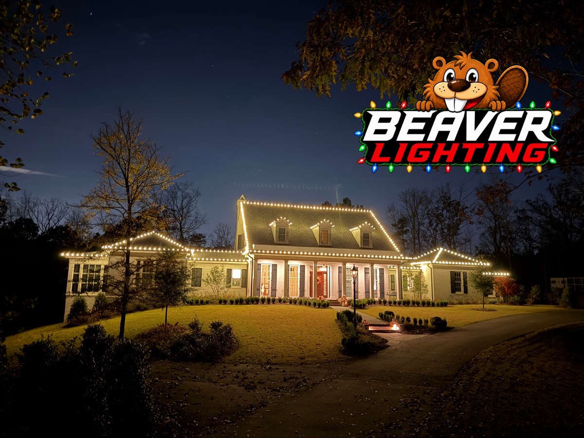 Beaver Lighting project photo 066