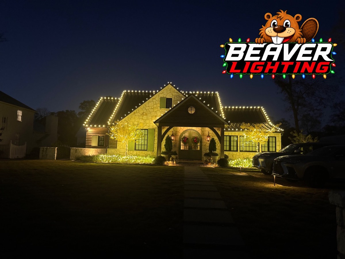 Beaver Lighting project photo 067