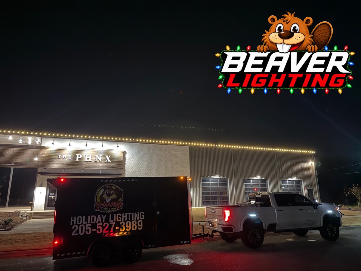 Beaver Lighting project photo 068