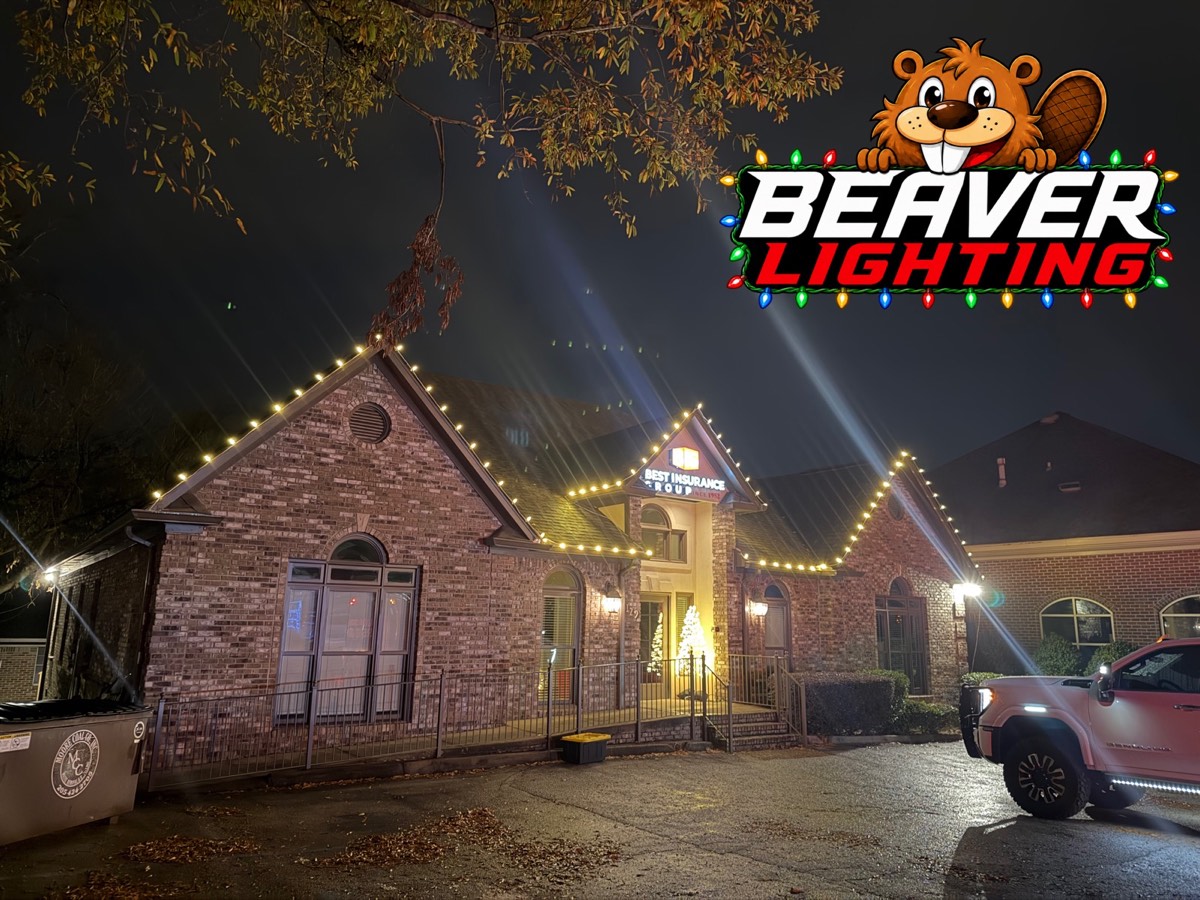 Beaver Lighting project photo 069