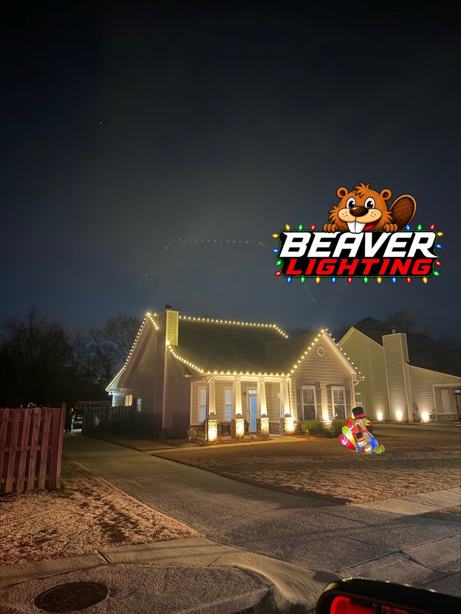 Beaver Lighting project photo 070